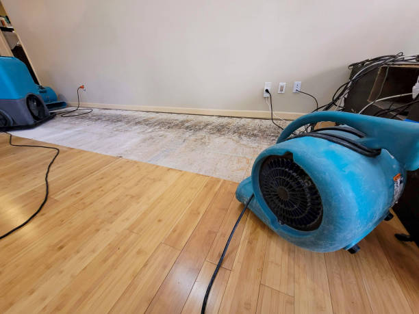 Professional Structural Drying technician working in Twin Lakes, VA
